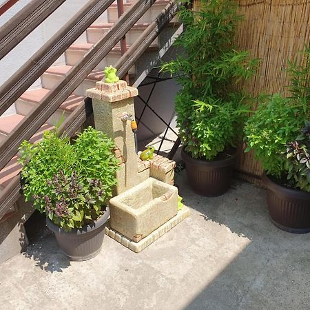 Apartman Djokic 2 Požarevac Buitenkant foto