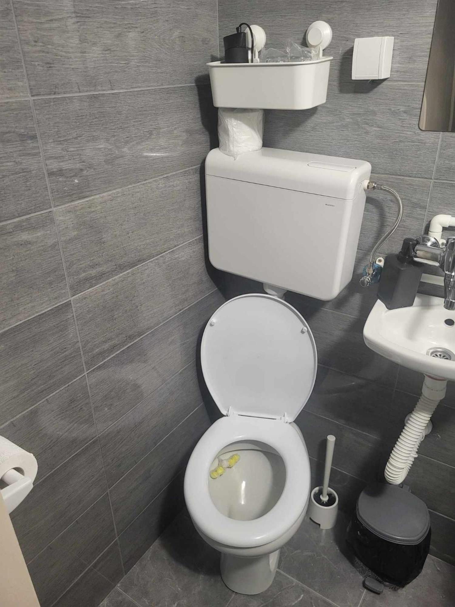 Apartman Djokic 2 Požarevac Buitenkant foto