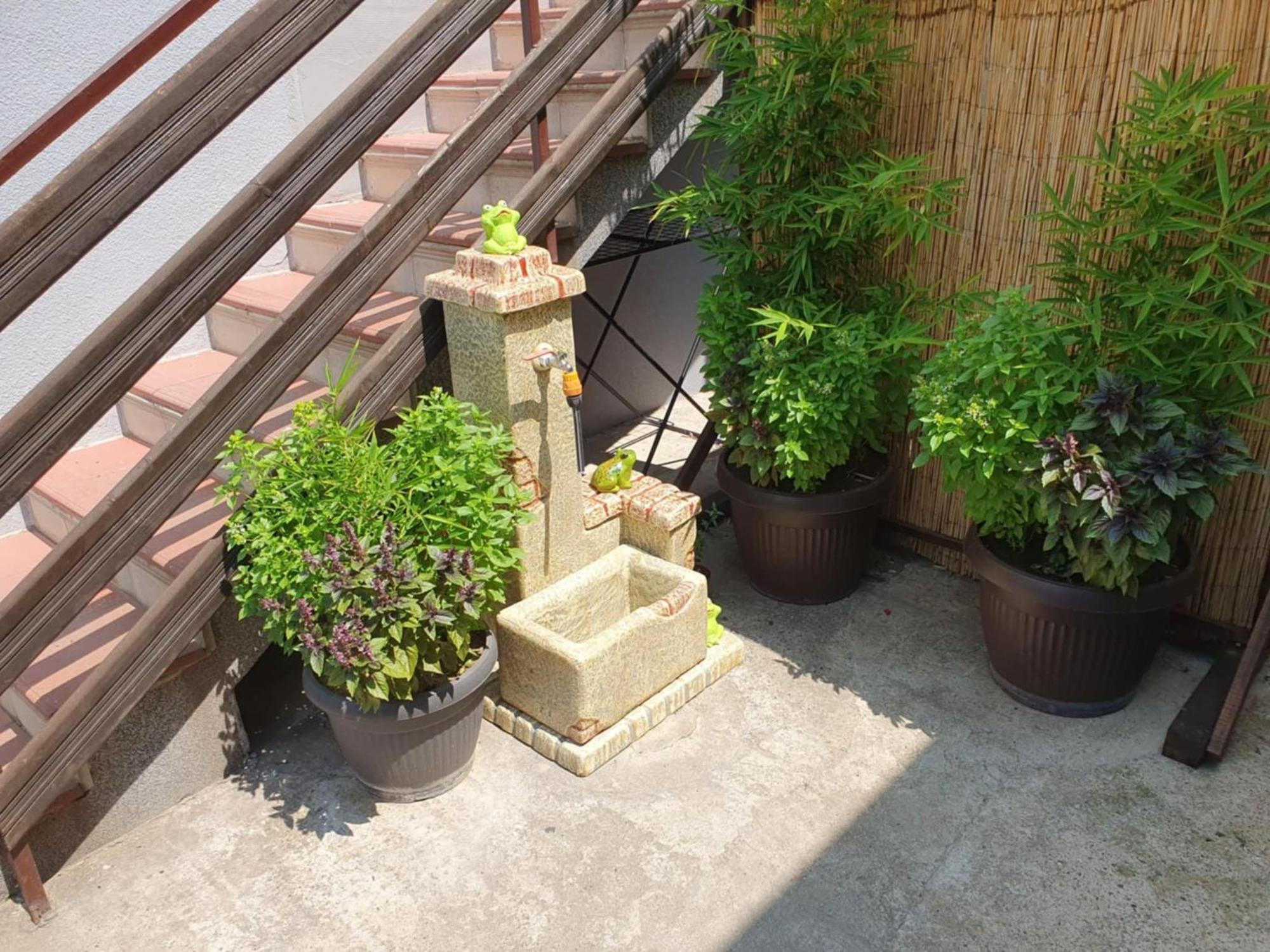 Apartman Djokic 2 Požarevac Buitenkant foto